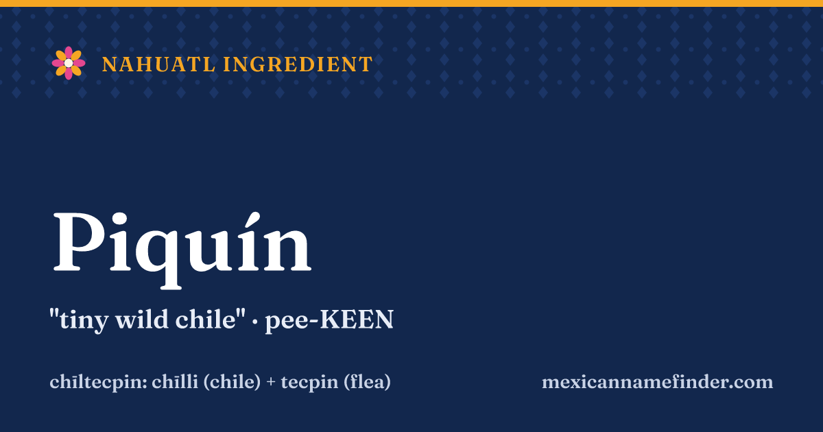 Piquín means tiny wild chile