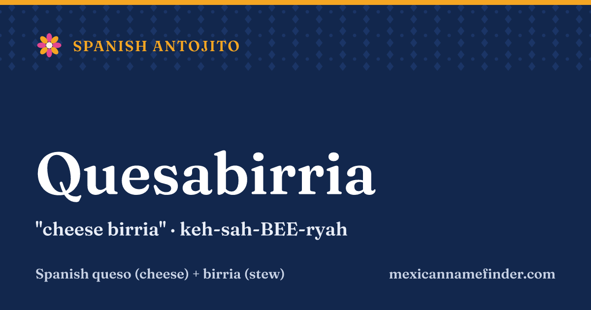 Quesabirria means cheese birria